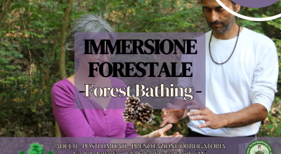 Immersione Forestale nella Selva